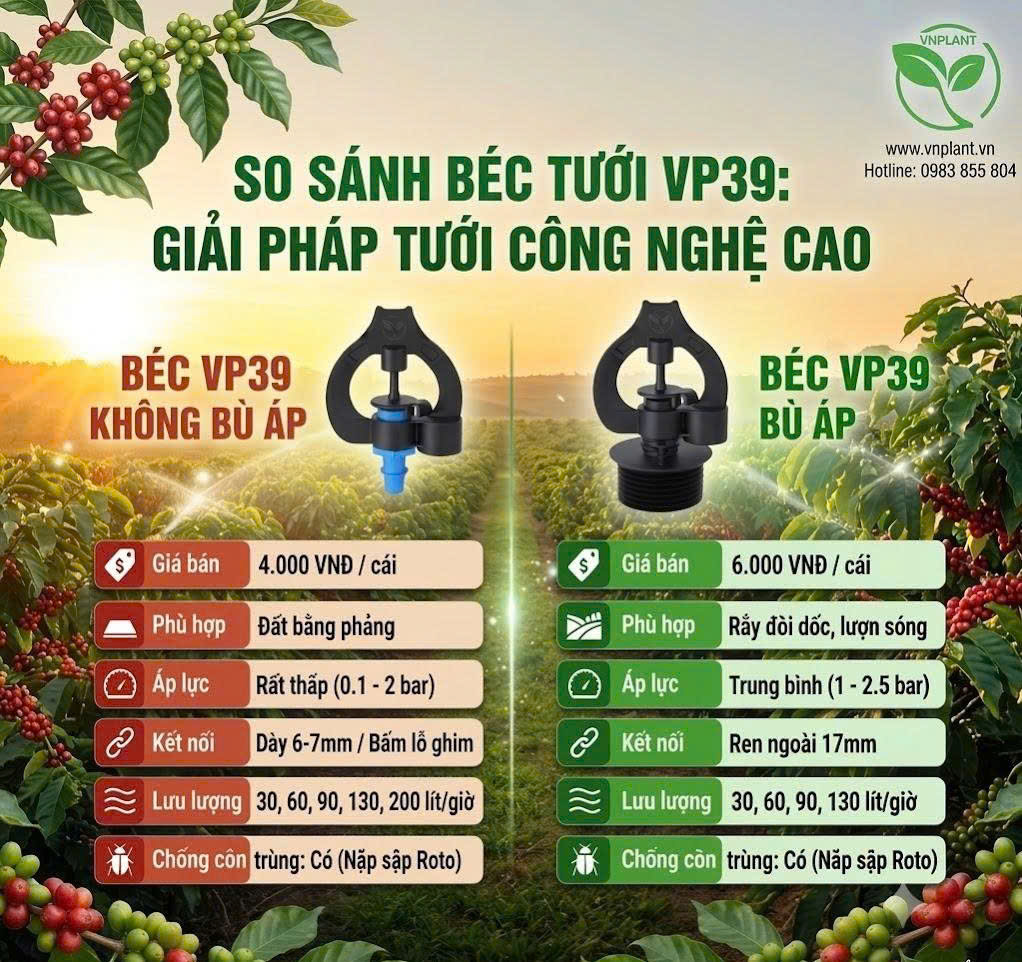 so sánh béc tưới vp39 tưới cho cà phê